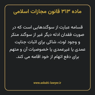 ماده ۳۱۳ قانون مجازات اسلامی مصوب ۱۳۹۲