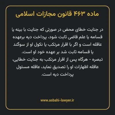 ماده ۴۶۳ قانون مجازات اسلامی مصوب ۱۳۹۲