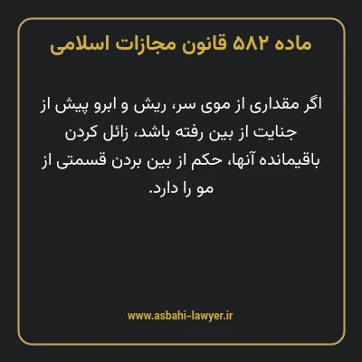 ماده ۵۸۲ قانون مجازات اسلامی مصوب ۱۳۹۲