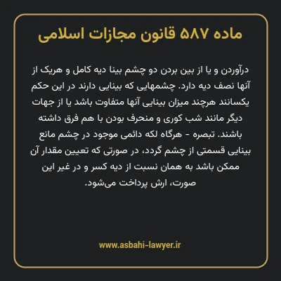 ماده ۵۸۷ قانون مجازات اسلامی مصوب ۱۳۹۲