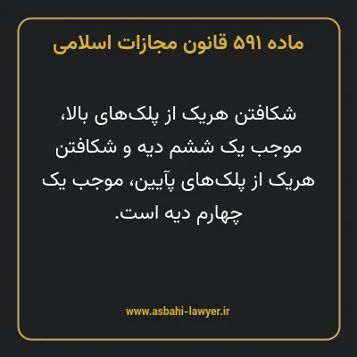 ماده ۵۹۱ قانون مجازات اسلامی مصوب ۱۳۹۲