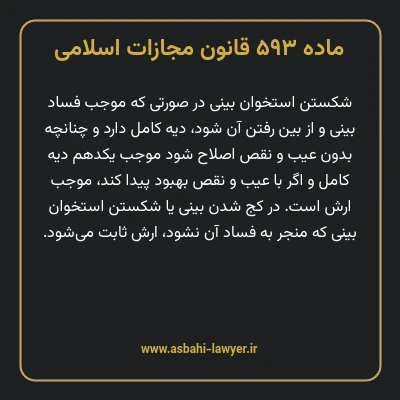 ماده ۵۹۳ قانون مجازات اسلامی مصوب ۱۳۹۲
