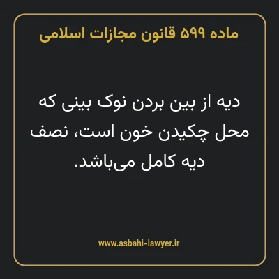 ماده ۵۹۹ قانون مجازات اسلامی مصوب ۱۳۹۲