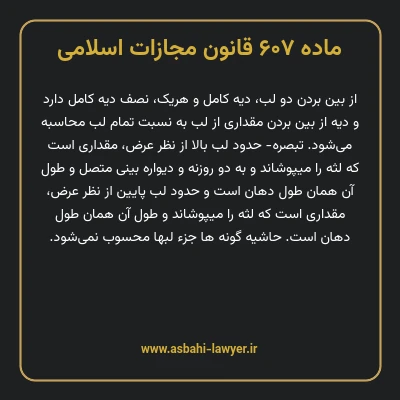 ماده ۶۰۷ قانون مجازات اسلامی مصوب ۱۳۹۲