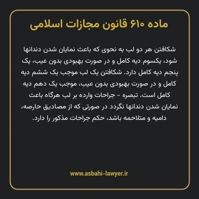 ماده ۶۱۰ قانون مجازات اسلامی مصوب ۱۳۹۲