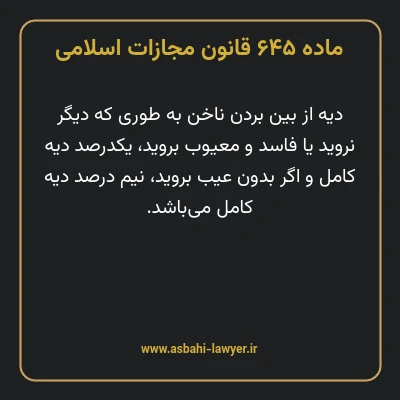 ماده ۶۴۵ قانون مجازات اسلامی مصوب ۱۳۹۲