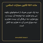 ماده ۶۵۷ قانون مجازات اسلامی مصوب ۱۳۹۲
