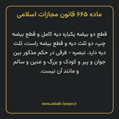 ماده ۶۶۵ قانون مجازات اسلامی مصوب ۱۳۹۲