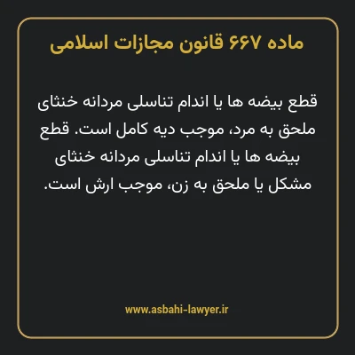 ماده ۶۶۷ قانون مجازات اسلامی مصوب ۱۳۹۲