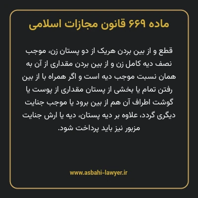 ماده ۶۶۹ قانون مجازات اسلامی مصوب ۱۳۹۲