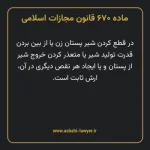 ماده ۶۷۰ قانون مجازات اسلامی مصوب ۱۳۹۲