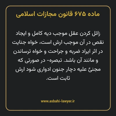 ماده ۶۷۵ قانون مجازات اسلامی مصوب ۱۳۹۲