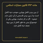 ماده ۶۹۳ قانون مجازات اسلامی مصوب ۱۳۹۲