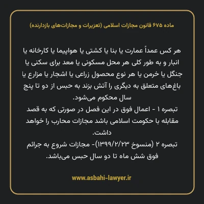 ماده ۶۷۵ قانون مجازات اسلامی (تعزیرات و مجازات های بازدارنده)