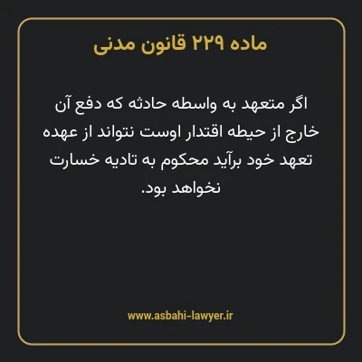 ماده ۲۲۹ قانون مدنی