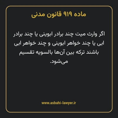 ماده ۹۱۹ قانون مدنی