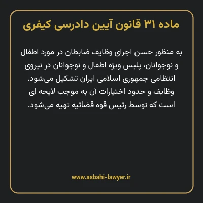 ماده ۳۱ قانون آیین دادرسی کیفری