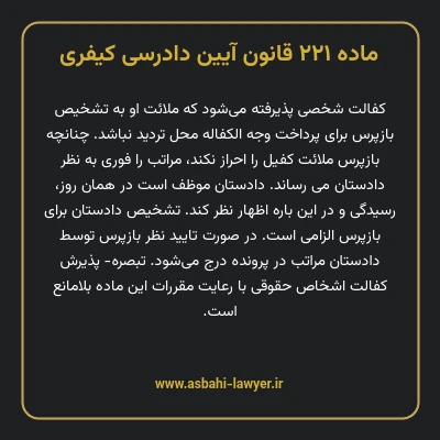 ماده ۲۲۱ قانون آیین دادرسی کیفری