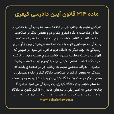 ماده ۳۱۴ قانون آیین دادرسی کیفری